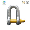 Us type alloy steel d ring shackle